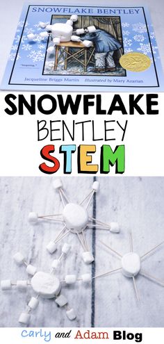 Build A Snowflake, Snowflake Bentley, Science Experience, January Activities, Winter Unit, Preschool Stem