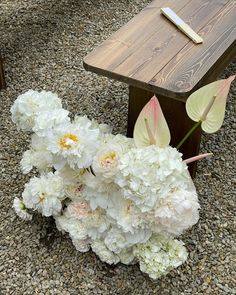 white flowers are sitting on the ground next to a wooden bench with a notepad on it