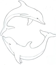 two dolphins are swimming in the water