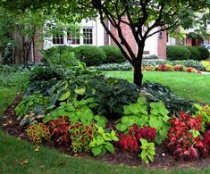 the garden is full of colorful plants and trees in front of a brick building with large windows