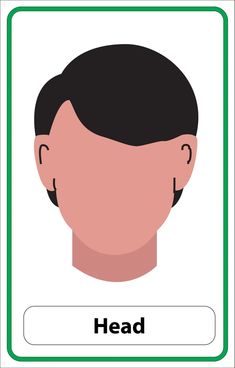 the head is shown in green and white, with an image of a man's face