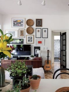 a living room filled with lots of plants and pictures on the wall