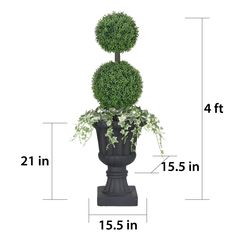 "Buy the 4ft. Topiary Boxwood Artificial Tree in Decorative Urn at Michaels. com. Our boxwood tree is carefully designed with the appearance of a real-life natural presence. The Puleo International 4 ft. Topiary Boxwood Artificial Tree beautifully captures a unique style and elegance that adds an exceptional look to your home, office, or front door. Our boxwood tree is carefully designed with the appearance of a real-life natural presence. Our artificial trees require no watering or pruning, and Modern Topiary, Topiary Boxwood, Boxwood Tree, Artificial Trees, Topiaries, Artificial Tree, Fireplace Mantle, Front Door, Real Life