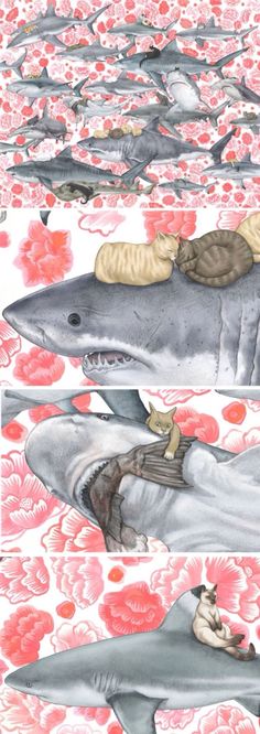 two pictures of sharks with people on them and flowers in the background, one has a cat sleeping on it's back