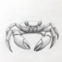 a drawing of a crab sitting on top of it's back legs in front of a white background