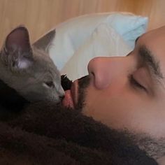 a man laying on top of a bed next to a gray and white cat in his mouth