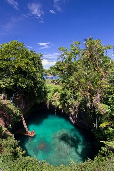 a blue pond surrounded by trees in the middle of a lush green forest filled with water