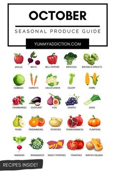 an image of the seasonal produce guide