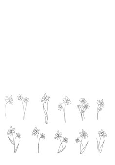 a line drawing of different flowers on a white background with the same flower in each row