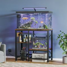 a fish tank sitting on top of a wooden shelf next to a white couch in front of a blue wall