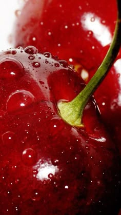 two red cherries with water droplets on them