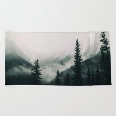 trees and fog in the mountains on a cloudy day