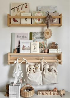 the shelves are filled with books and stuffed animals