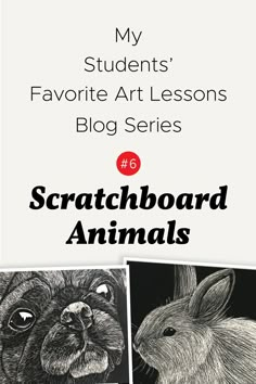 the front cover of my students'favorite art lessons blog series 6 scratchboard animals