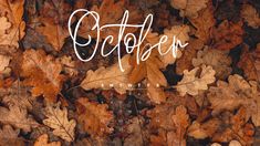 a desktop calendar with the word october written in cursive font surrounded by autumn leaves