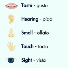 four different types of eyes and their corresponding parts are shown in this graphic above the words