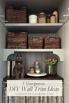 a gray cat sitting on top of a shelf