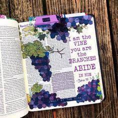 an open bible with the words i am the vine you are the branches abide