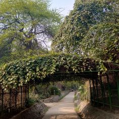 a pathway that is surrounded by trees and plants on either side of the path, leading to an overhang