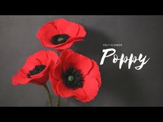 three red flowers are in a vase with the words poppy written on it's side