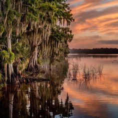 a lake with trees and water at sunset