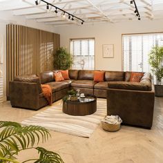 a living room filled with brown furniture and lots of plants on top of the floor