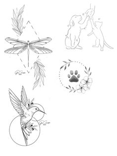 some drawings of different animals and plants