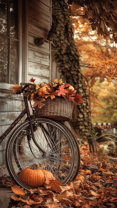 a bicycle with a basket full of autumn leaves