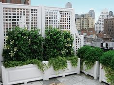 several white planters with plants growing on them in front of a cityscape