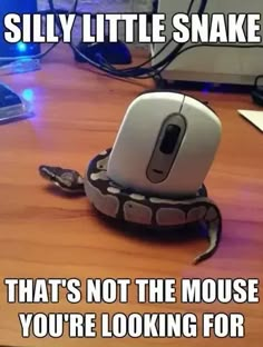 a computer mouse sitting on top of a wooden desk next to a snake wrapped around it