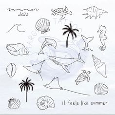 an ink drawing of sea animals and seashells on a white background with the words it feels like summer