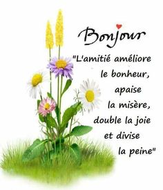 some flowers are in the grass with french words on it's backgroun