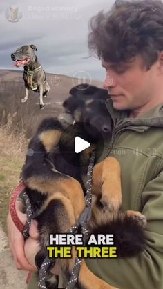 a man holding three puppies in his hands with the caption here are the three dogs