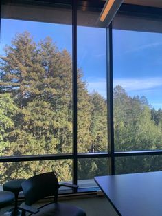 an office with large windows overlooking trees and blue sky in the background, looking out over a forest