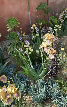 an assortment of flowers and plants in a garden area next to a wall with pink stucco