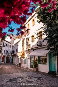 an empty street with buildings and flowers in the foreground