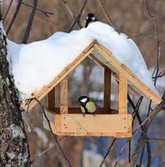 two birds sitting on top of a wooden bird house in the snow covered tree branches