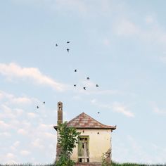 birds are flying over an abandoned house on a hill