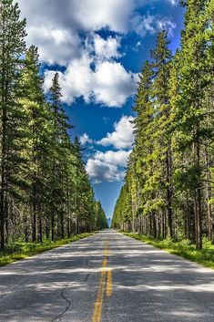 an empty road surrounded by tall trees under a cloudy blue sky