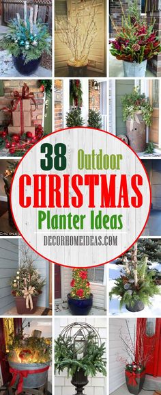 outdoor christmas planter ideas with text overlay