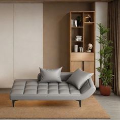 a living room with a couch, bookshelf and potted plant in it