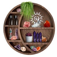 a wooden shelf filled with lots of different types of rocks and plants on top of it