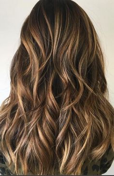 Brunette With Honey Hits Hair Painting, Hair Skin