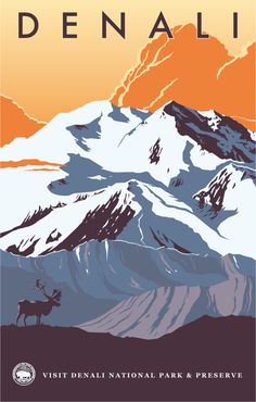 the national park and preserve poster for denali is shown in orange, blue, and white