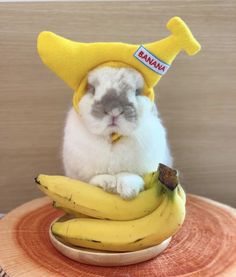 a rabbit wearing a banana hat sitting on top of a bunch of bananas in front of a wall