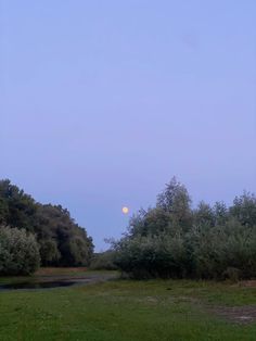 the moon is setting over an open field with trees in the foreground and a stream running through it