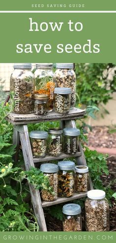 an old ladder is used as a spice rack in the garden with jars and herbs on it