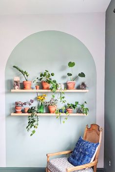 a room with some plants on shelves and a chair in front of the wall,