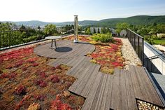 a green roof with red and yellow plants on it