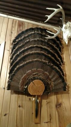 a deer head mounted on the wall next to a wooden floor